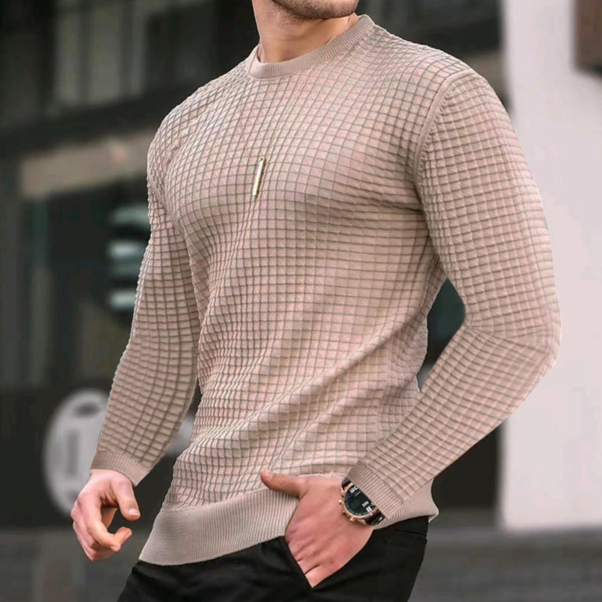 Carviani | Jacquard Textured Sweater