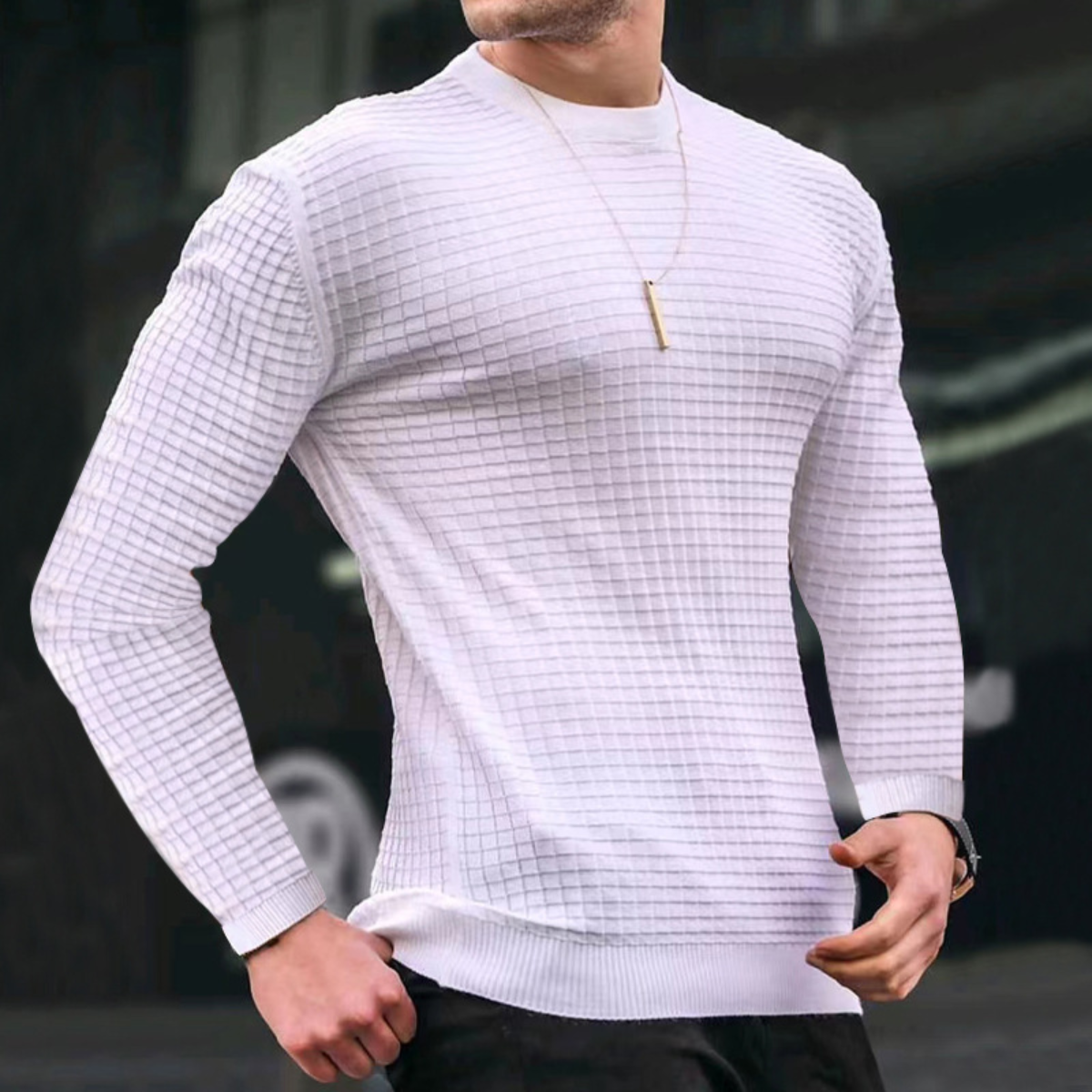 Carviani | Jacquard Textured Sweater